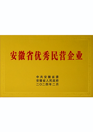 安徽省百名優(yōu)秀民營(yíng)企業(yè)